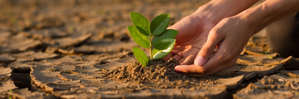 İklim Teknolojisi Girişimlerinde Dikkat Çeken Başarılar