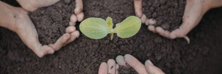 Erken mi Geç Aşama Yatırım